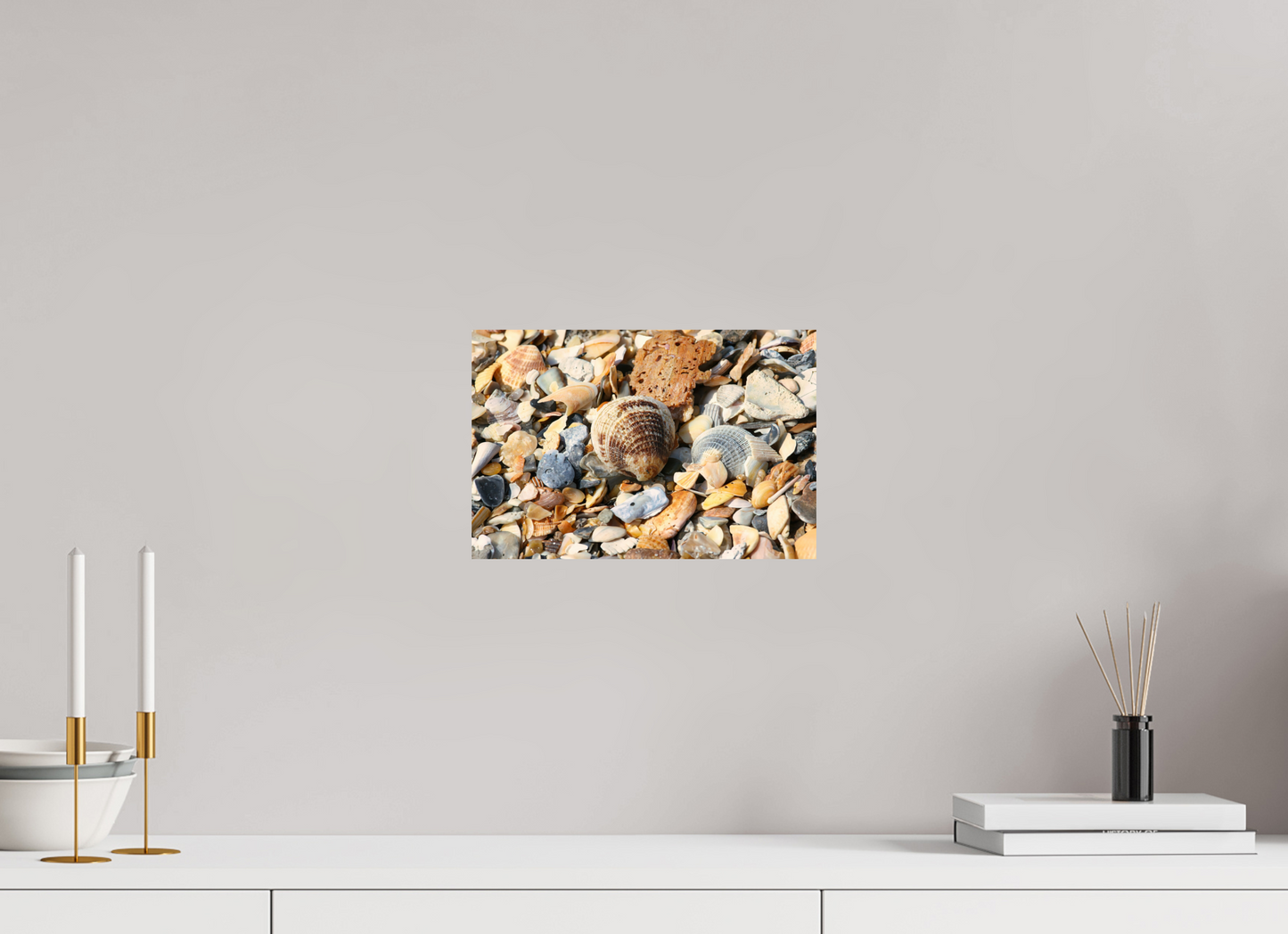 SEASHELLS ON PHOTO PRINT ON FUJI CRYSTAL DP II
