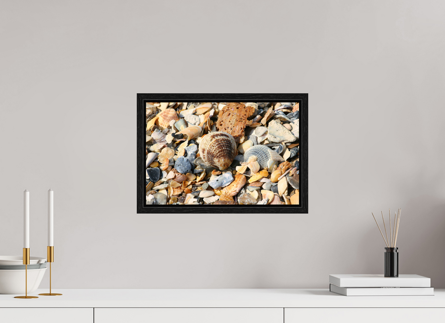 SEASHELL ON FLOATER FRAME