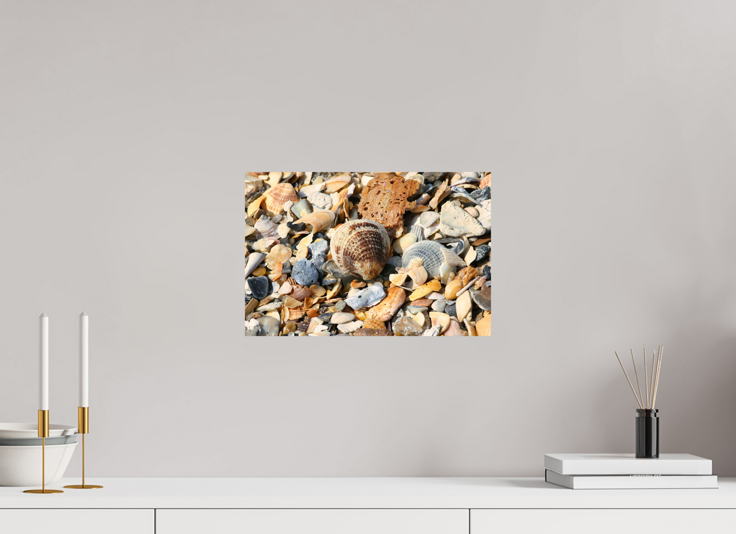 SEASHELLS ON PHOTO PRINT ON FUJI CRYSTAL DP II