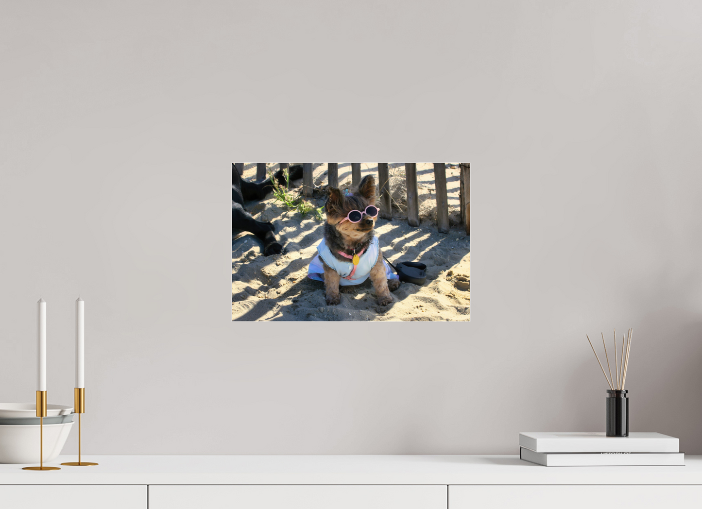 DOG AT BEACH