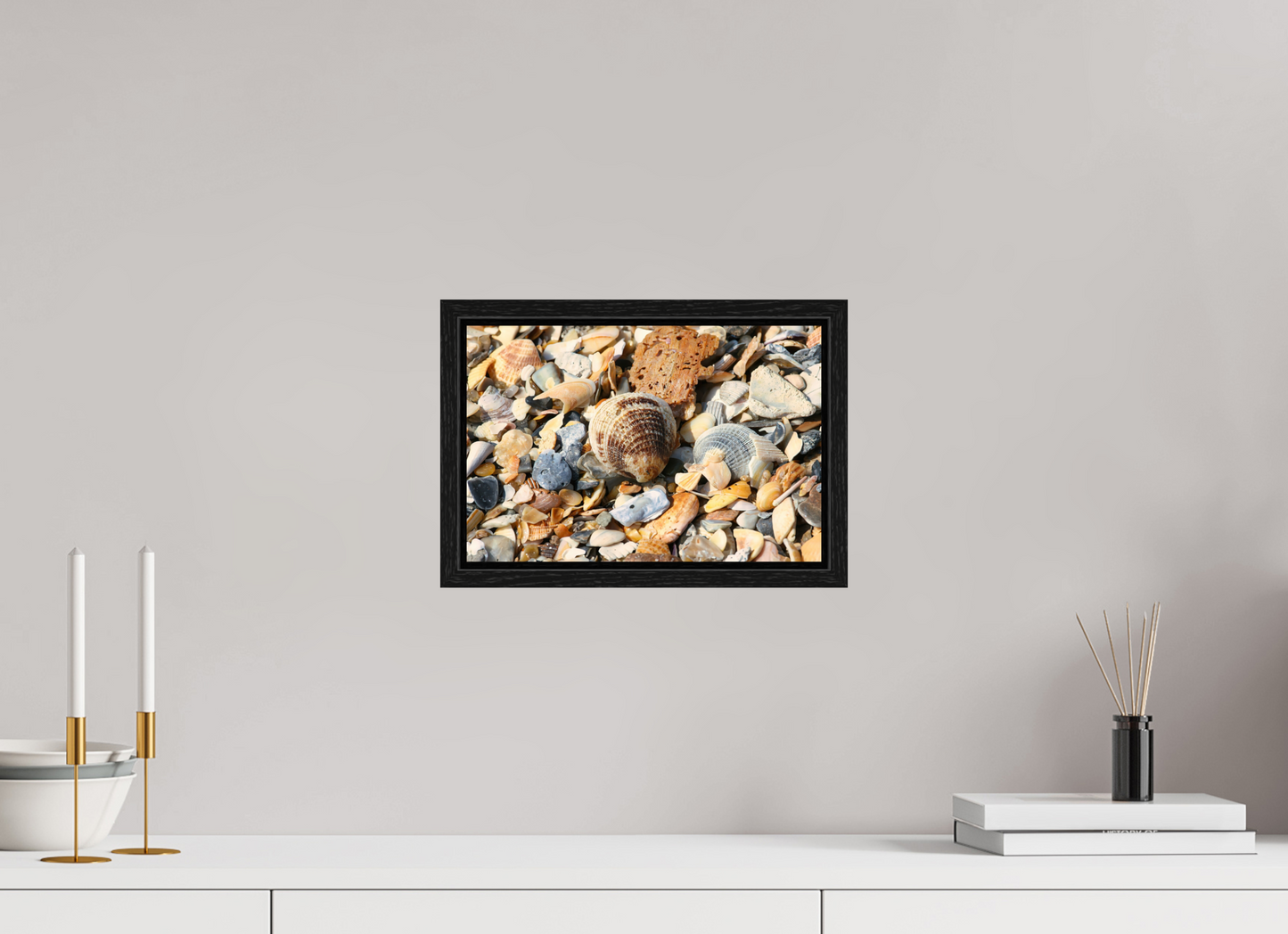SEASHELL ON FLOATER FRAME