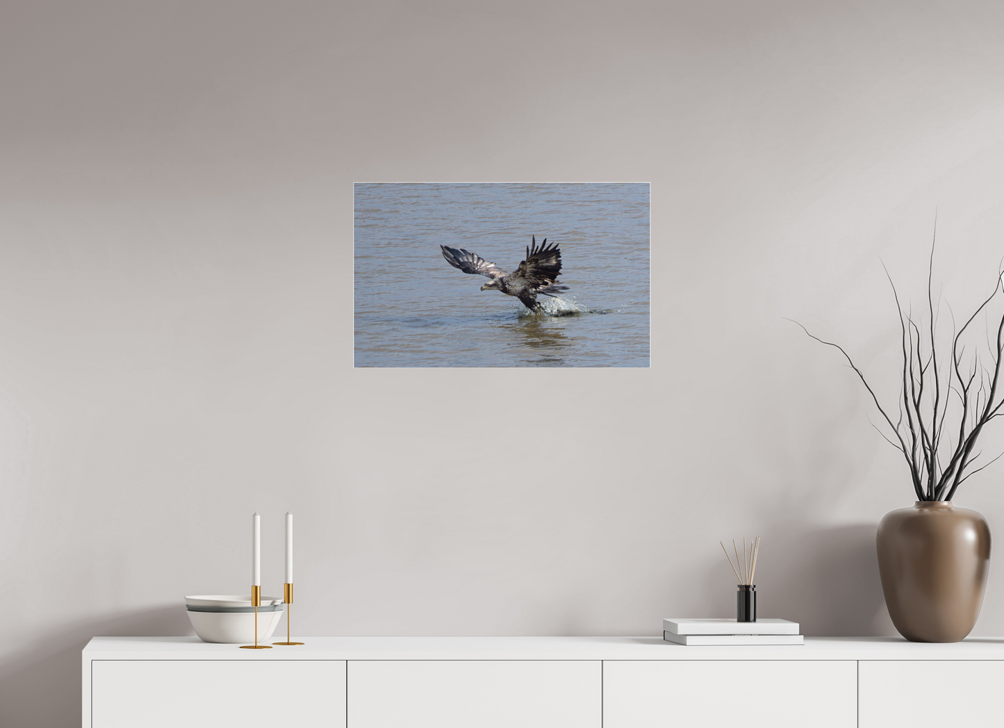 IMMATURE BALD EAGLE