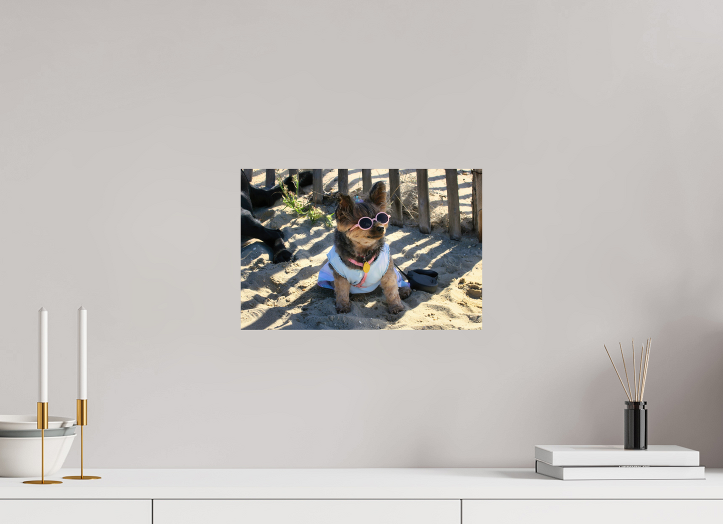 DOG AT BEACH