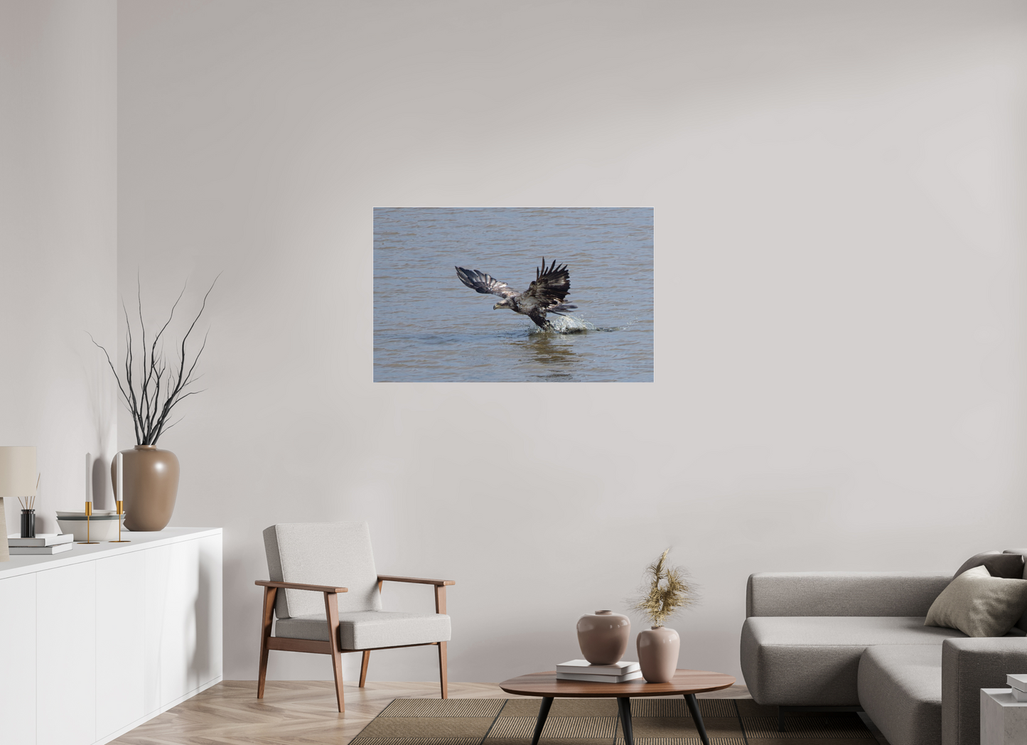 IMMATURE BALD EAGLE