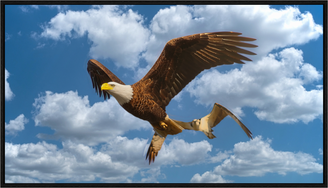 Main image HOT PURSUIT