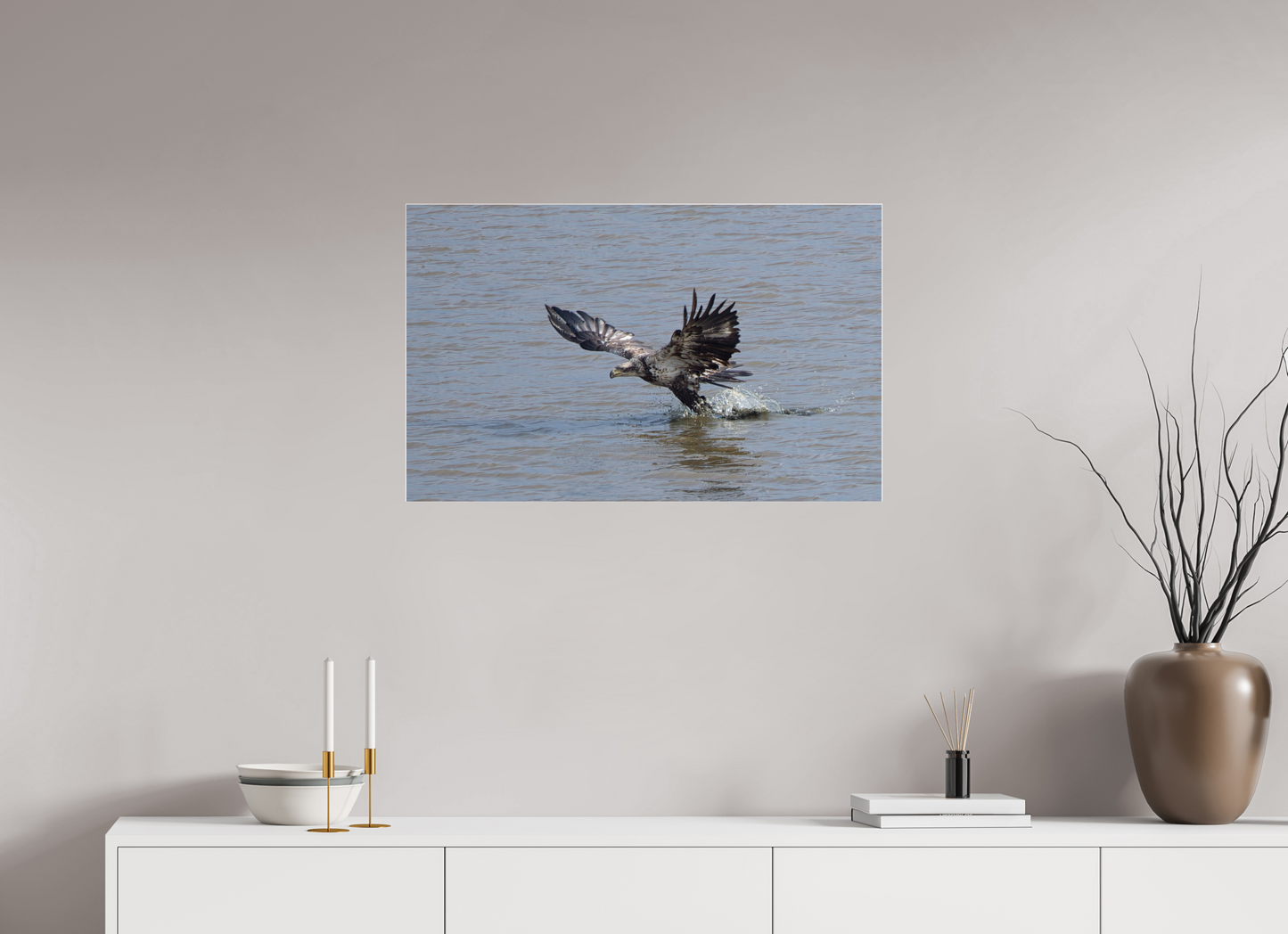 IMMATURE BALD EAGLE