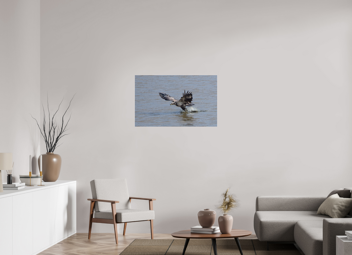 IMMATURE BALD EAGLE