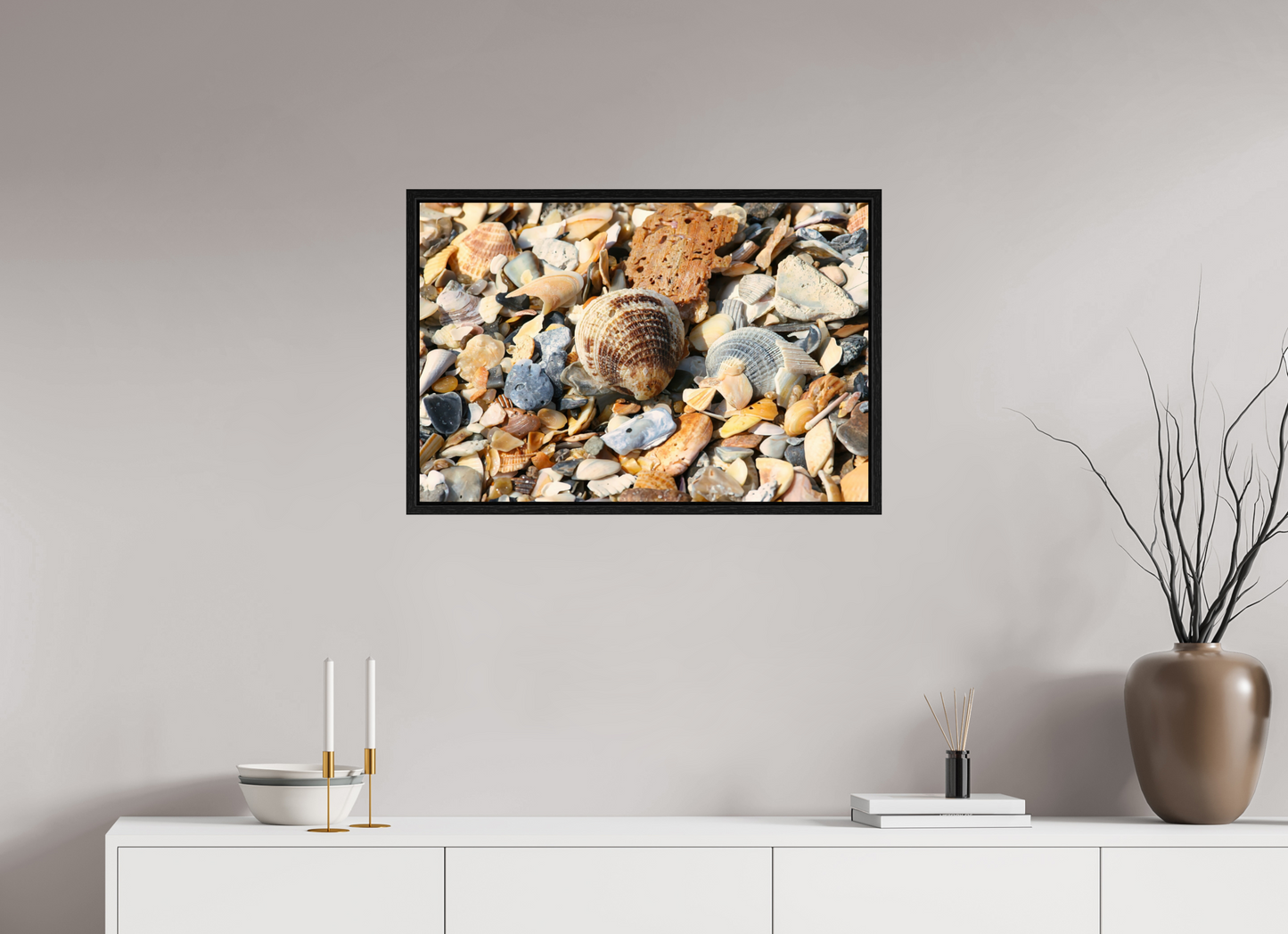 SEASHELL ON FLOATER FRAME