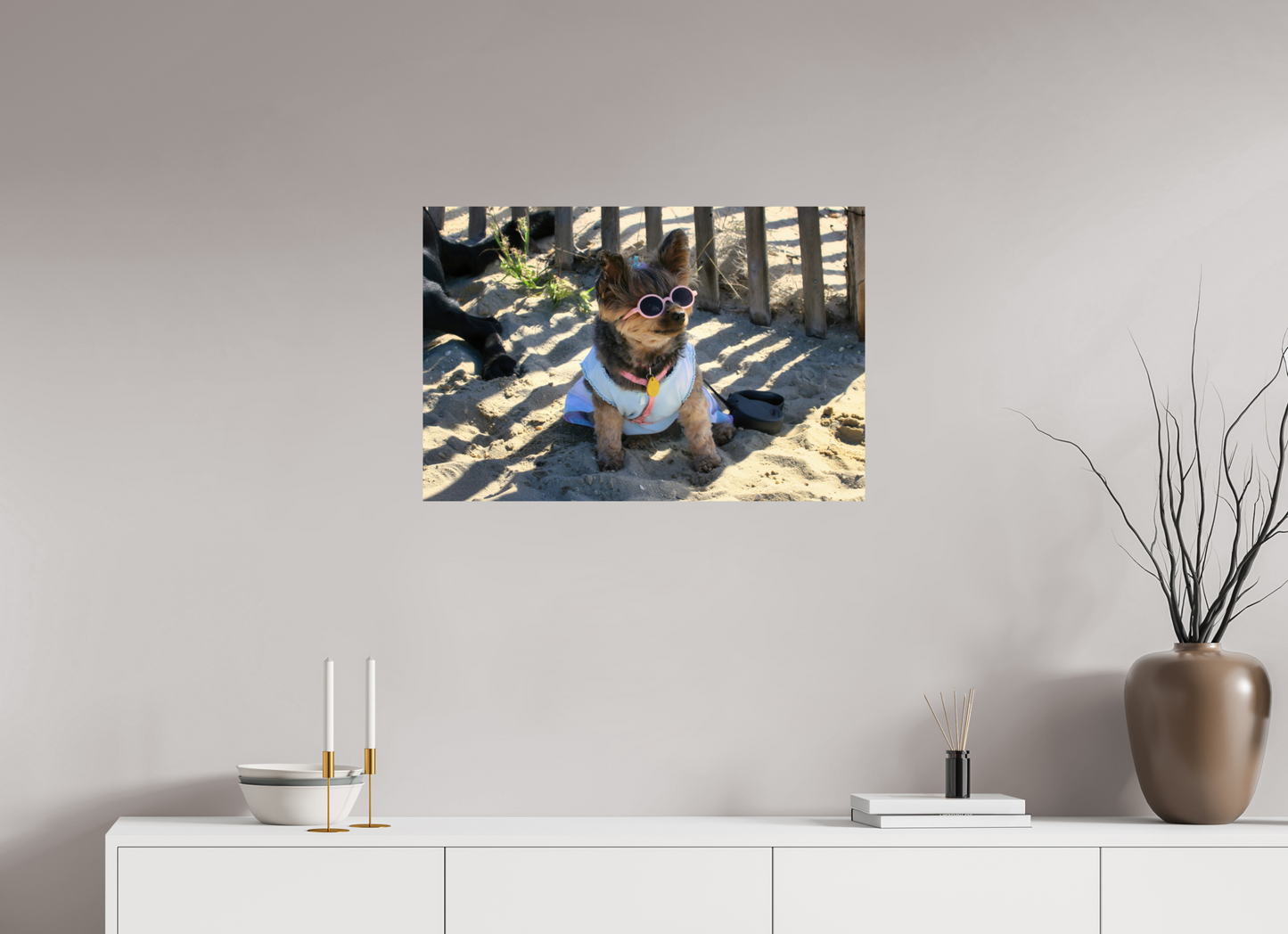 DOG AT BEACH