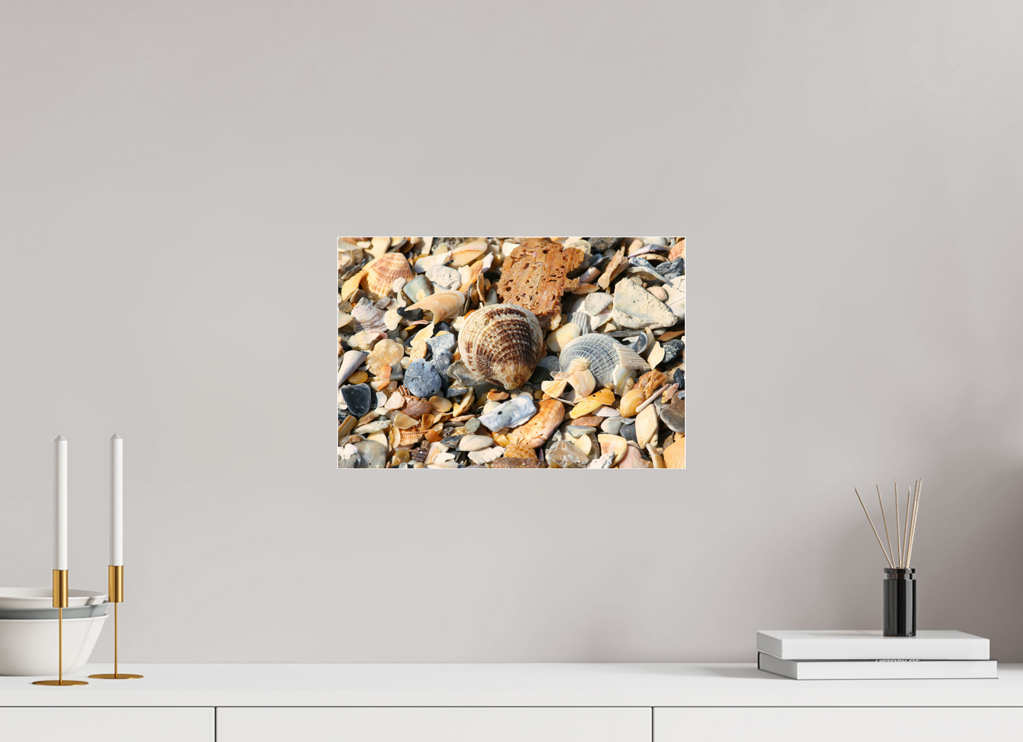 SEASHELLS ON ACRYLIC GLASS